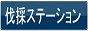 伐採ステーション　シリウス版