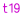 t19