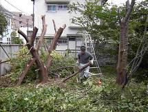 庭木伐採・草刈りを承ります。/ 愛知県飛島村